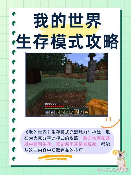 Mc+experience directive