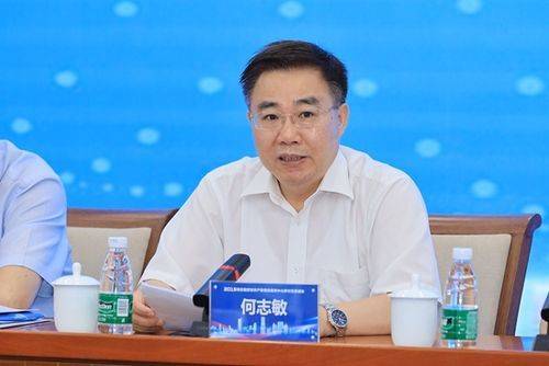 Self-measurement of intellectual property protection in the network environment