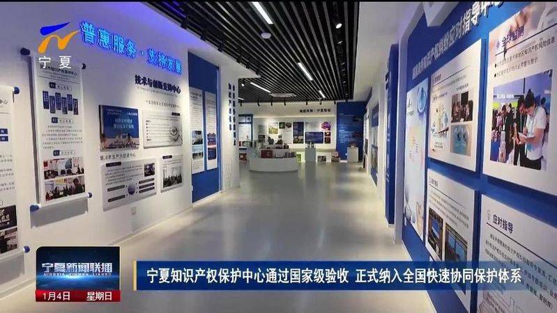 Self-measurement of intellectual property protection in the network environment