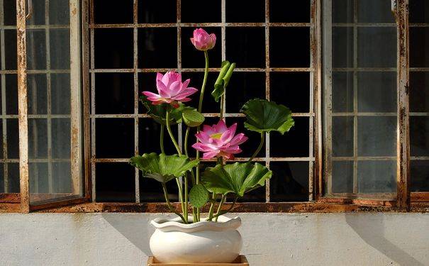 The way the bowls are grown, it's made