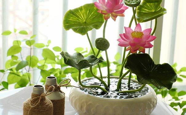 The way the bowls are grown, it's made