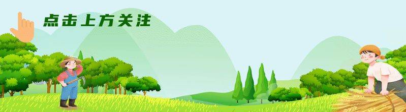 Technology for vegetable growing in winter