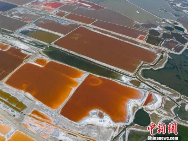 The main principles of the salt