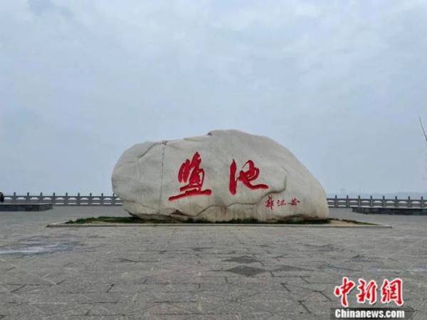 The main principles of the salt