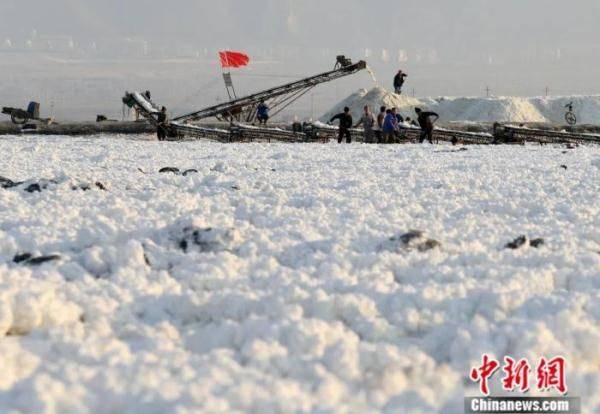 The main principles of the salt