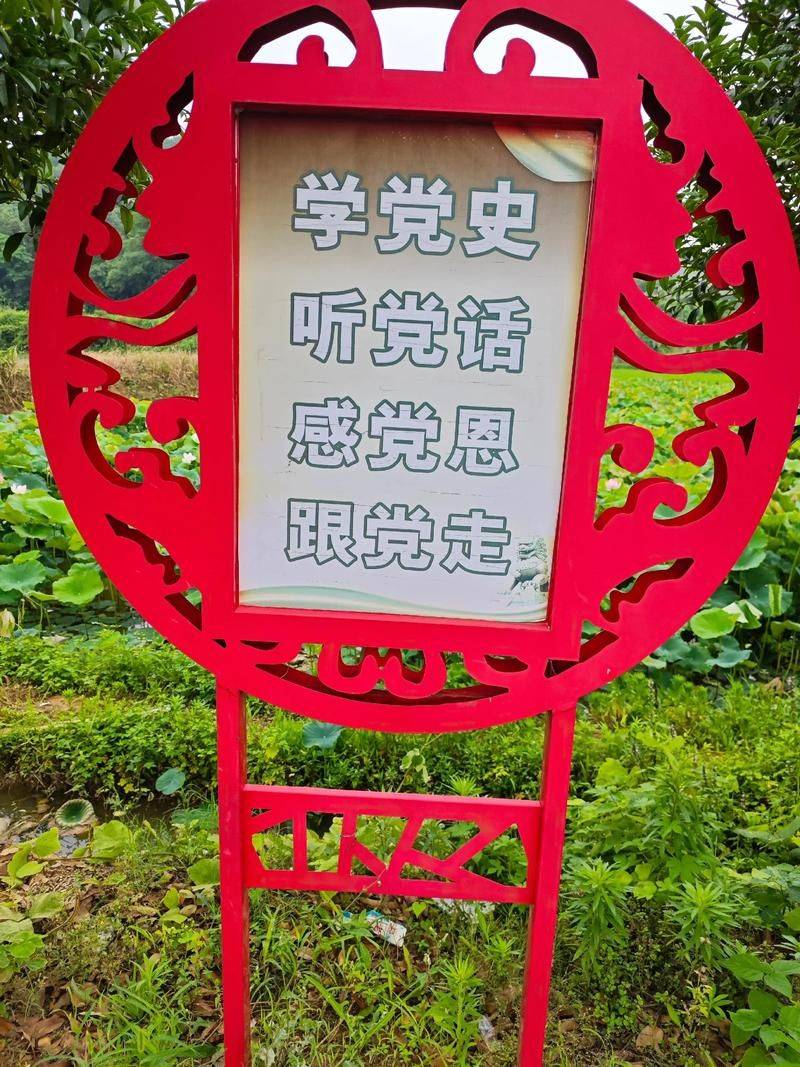 Technology for cucumber cultivation