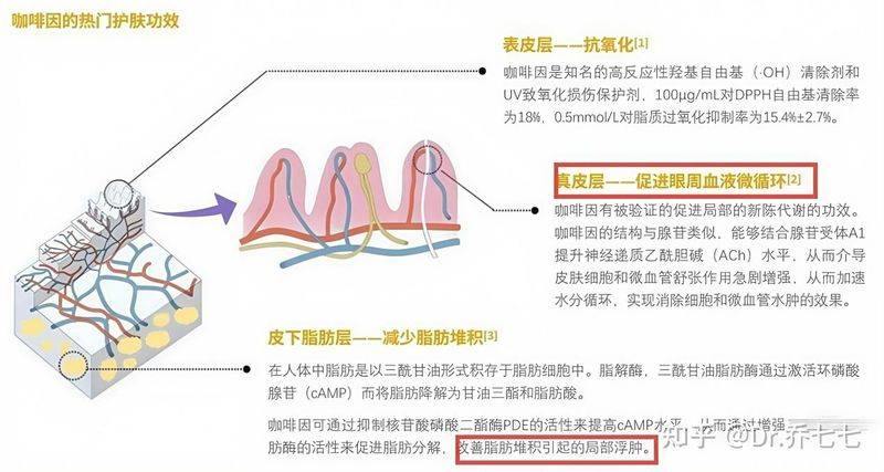 雅诗兰黛 眼霜价格