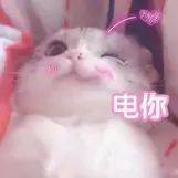 雅诗兰黛 眼霜价格