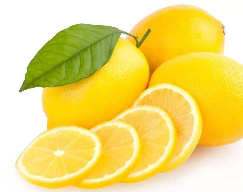 The main principles of the salt