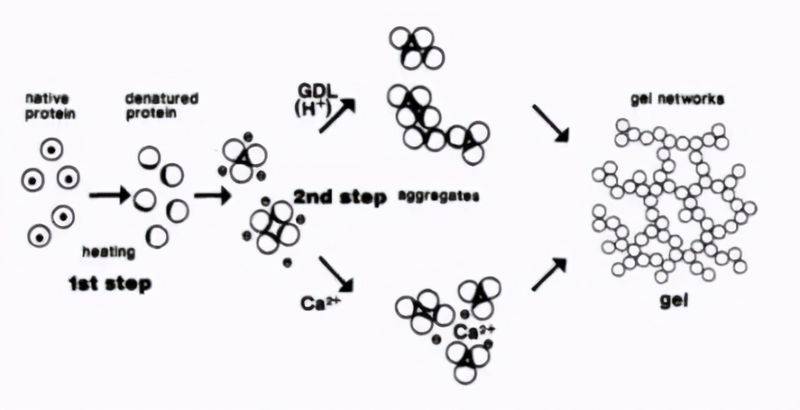 The main principles of the salt