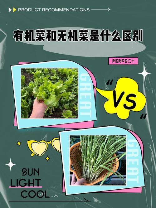 Technology for organic vegetable cultivation