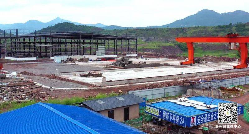 Technology for cucumber cultivation