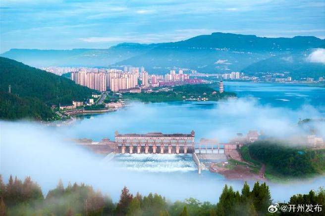 Technology for cucumber cultivation