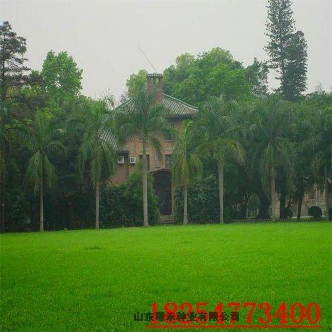 Technology for ryegrass cultivation