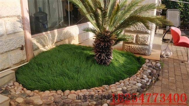 Technology for ryegrass cultivation