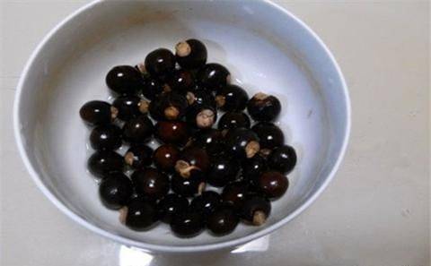 Various fruit seed-planting methods