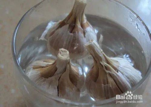 Garlic growing technology video