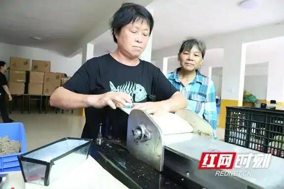 Aie's planting technology video