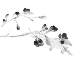 党外知识分子调研报告