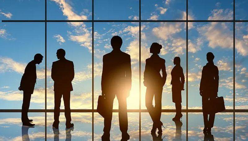 党外知识分子调研报告