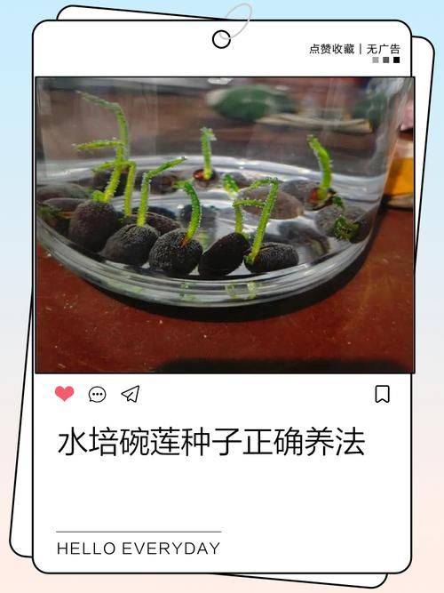 The way the bowls are grown, it's made