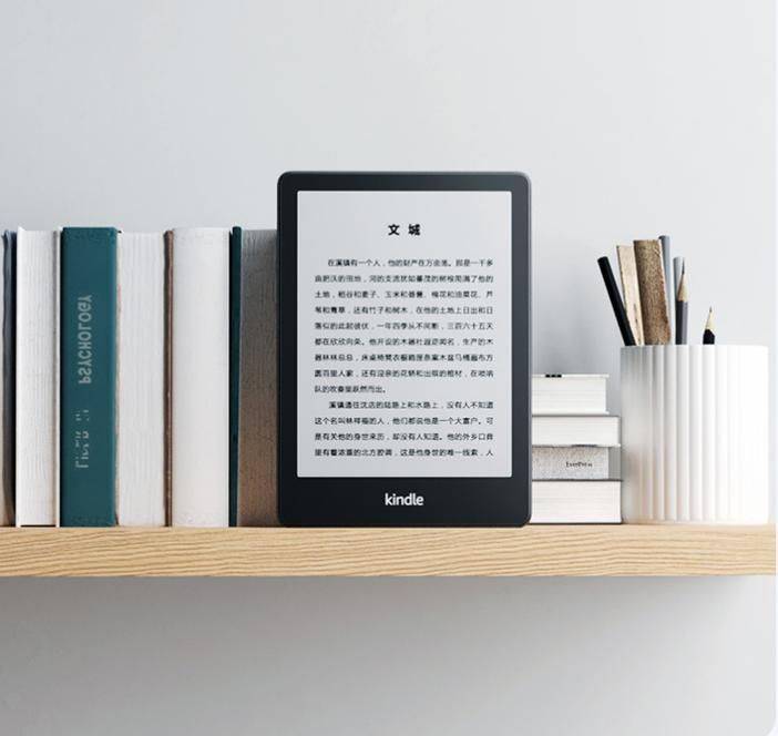 Kindle purchase price for electronic books