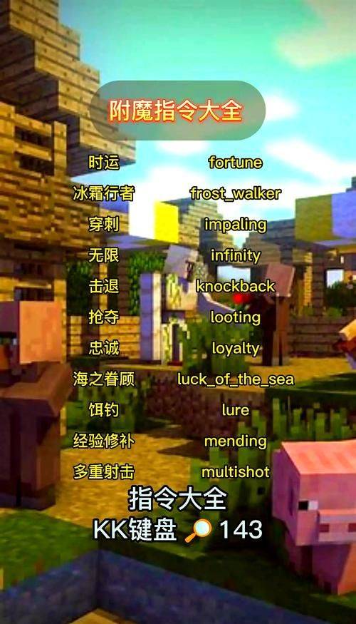 Mc+experience directive