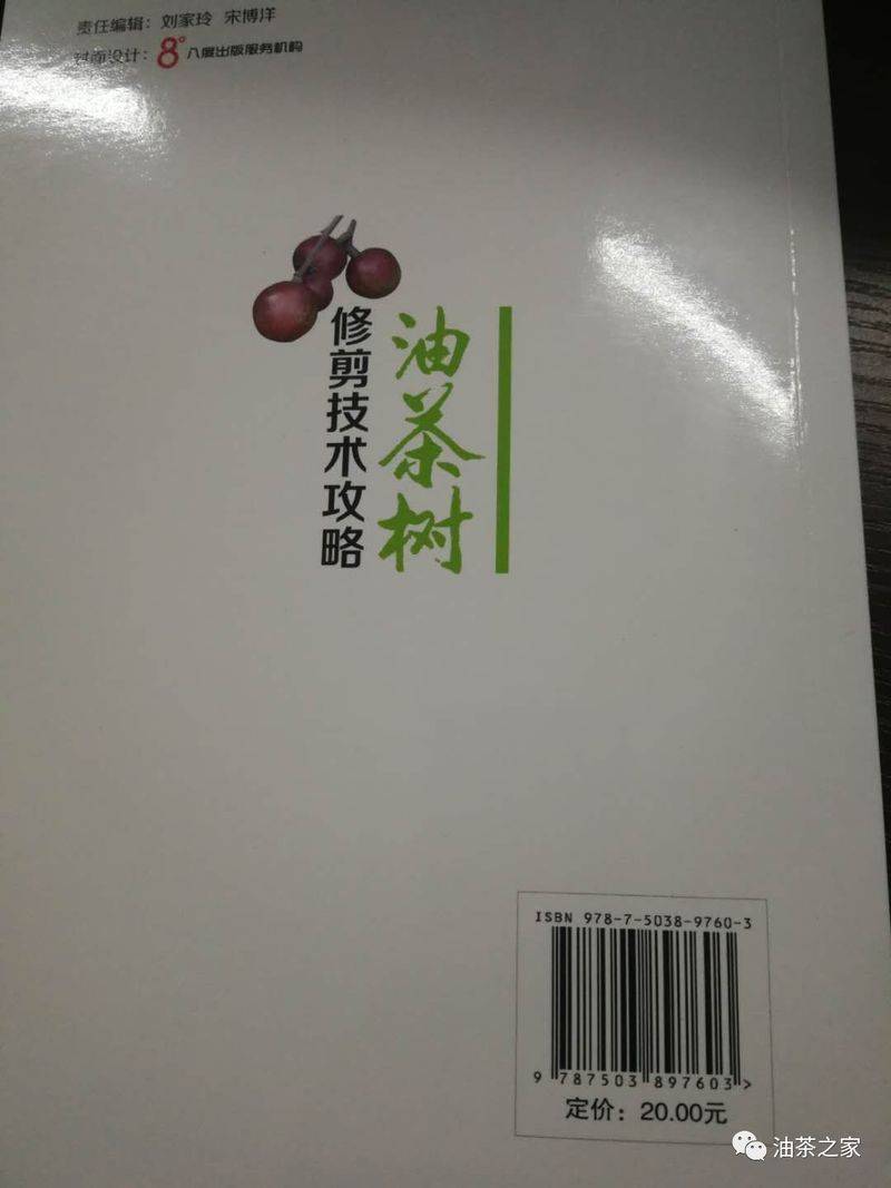 Video on oil and tea tree cultivation techniques