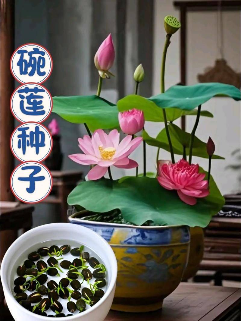 The way the bowls are grown, it's made