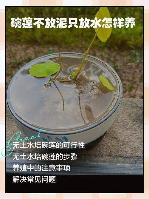 The way the bowls are grown, it's made