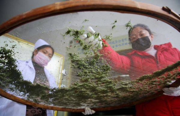 Aie's planting technology video