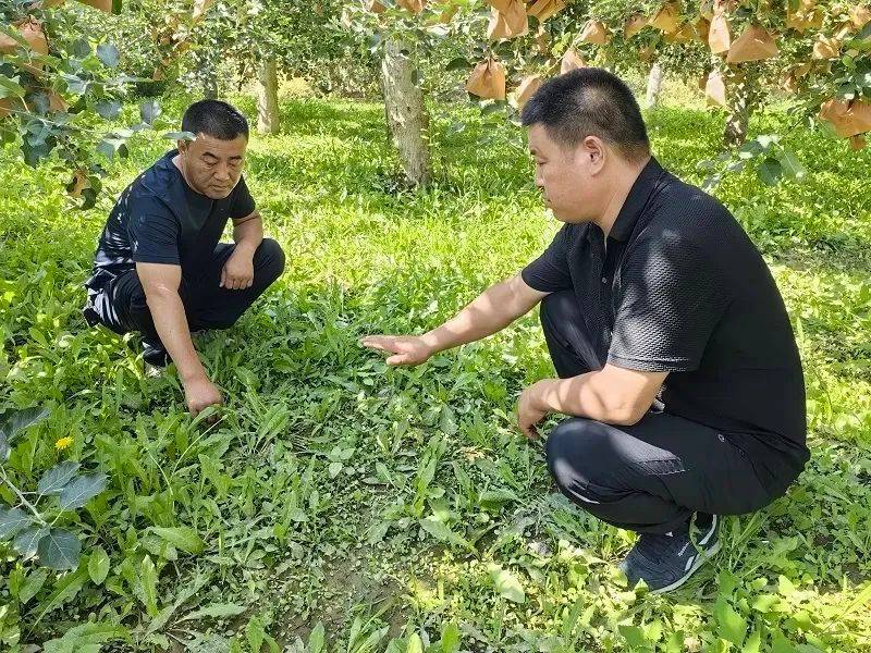 Video of mushroom growing techniques