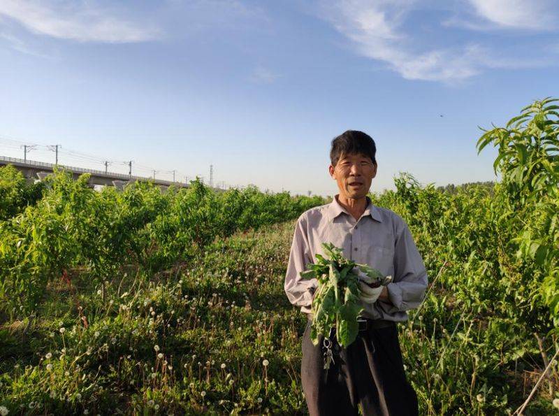 Video of mushroom growing techniques