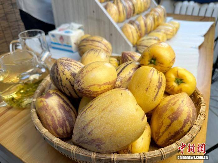 The method of cultivation of human cucumbers