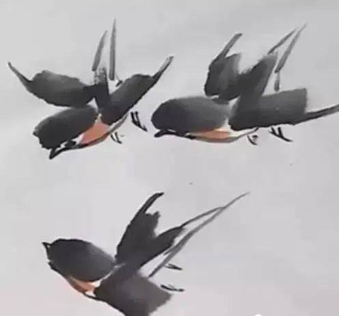 国画麻雀的画法步骤