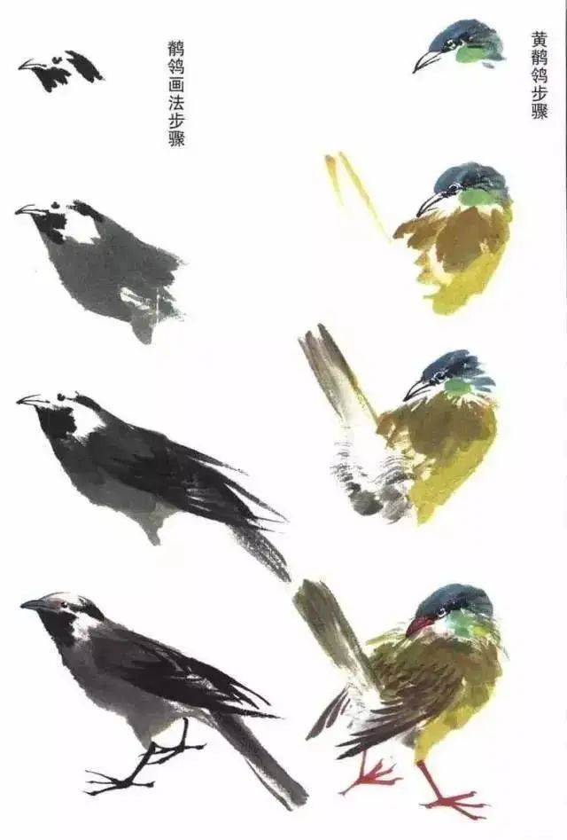 国画麻雀的画法步骤