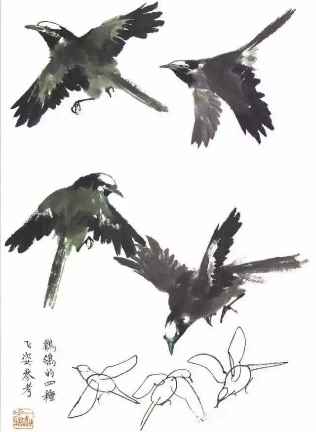 国画麻雀的画法步骤