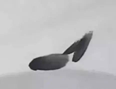 国画麻雀的画法步骤