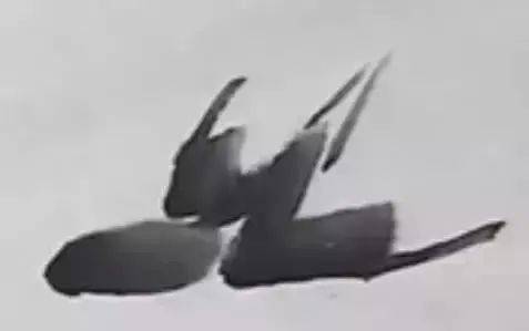 国画麻雀的画法步骤