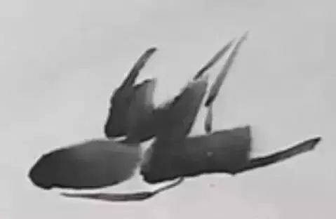 国画麻雀的画法步骤