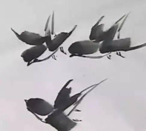 国画麻雀的画法步骤