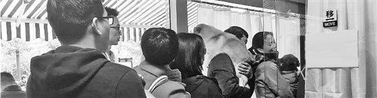 杭州虹泰宠物医院费用