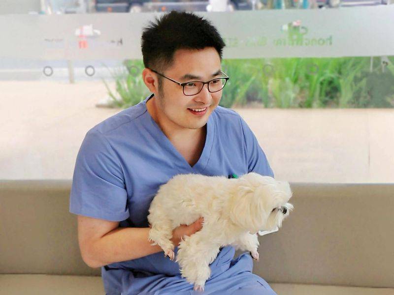 杭州虹泰宠物医院费用