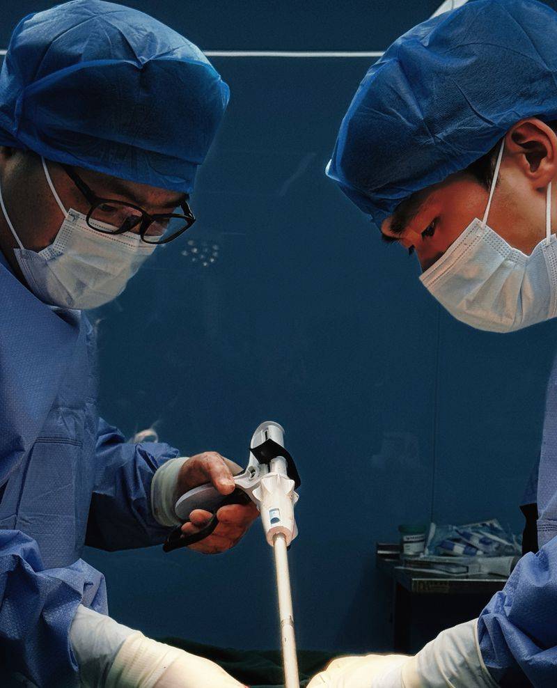 杭州虹泰宠物医院费用