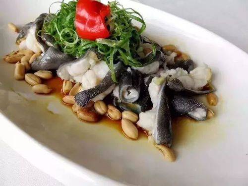 娃娃鱼的市场单价