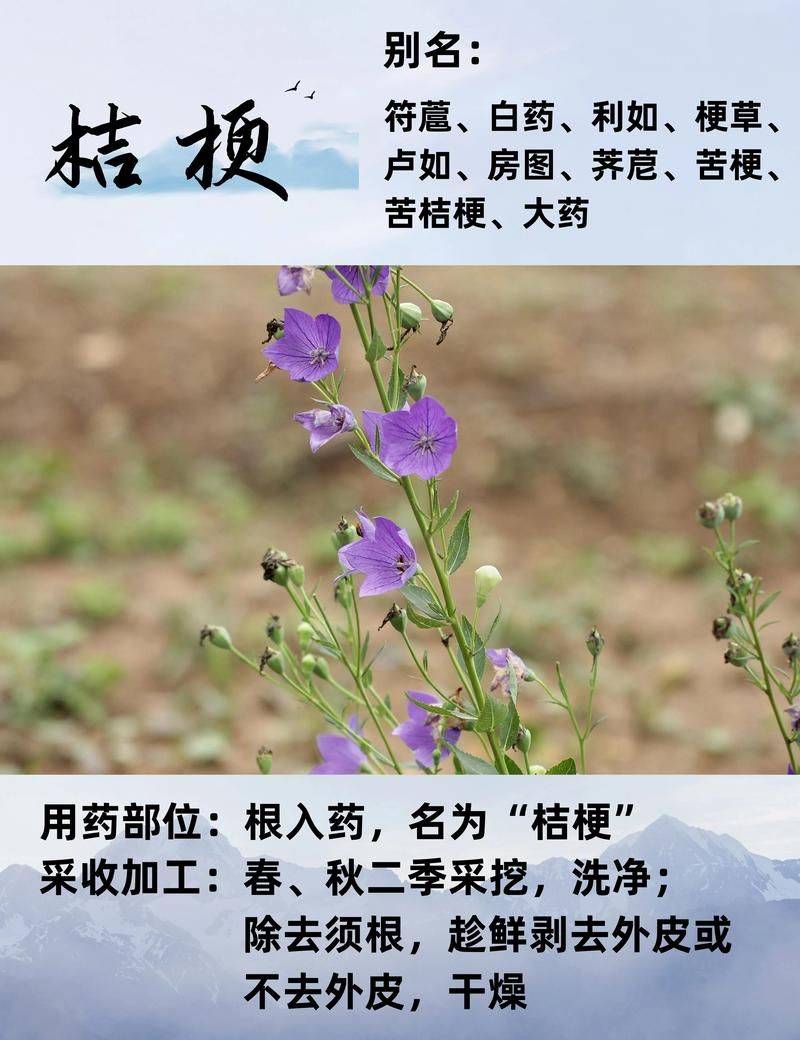 Chinese medicine orange infarction techniques