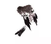 国画麻雀的画法步骤