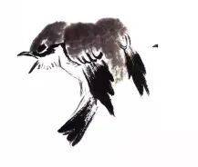 国画麻雀的画法步骤