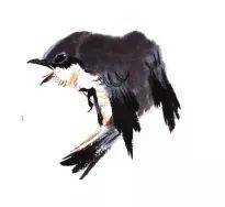 国画麻雀的画法步骤