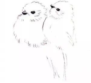 国画麻雀的画法步骤